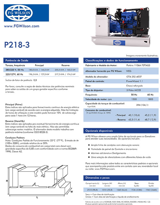 Gerador Diesel de 217,5 KVA - Aberto